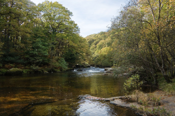 the River Dart on Dartmoor
