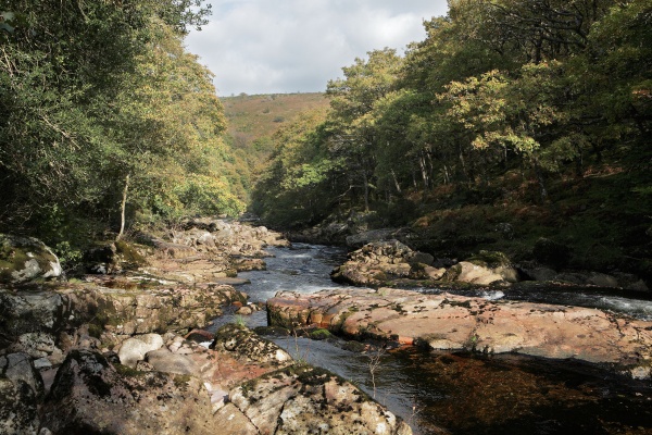 Dart Towards the Brad Stones