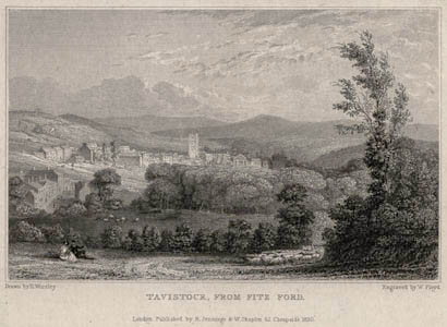 Tavistock seen from Fitzford