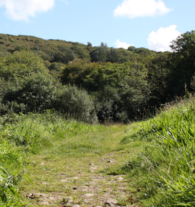 The meadow at the end of the path down the Peppercombe valley from Horns Cross